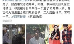 卓伟爆料双面歌手视频