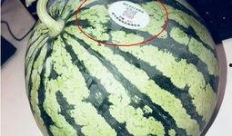 400w网红吃瓜,400万网红揭秘娱乐圈吃瓜大事件