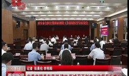 西安莲湖区最新爆料新闻,揭秘西安莲湖区最新爆料新闻背后的故事