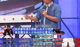 吴宗宪爆料大陆视频播放,大陆视频播放背后的惊人真相